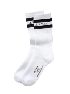EDs Socken -Modekleidung Geschäft EC21 7978 FA 1