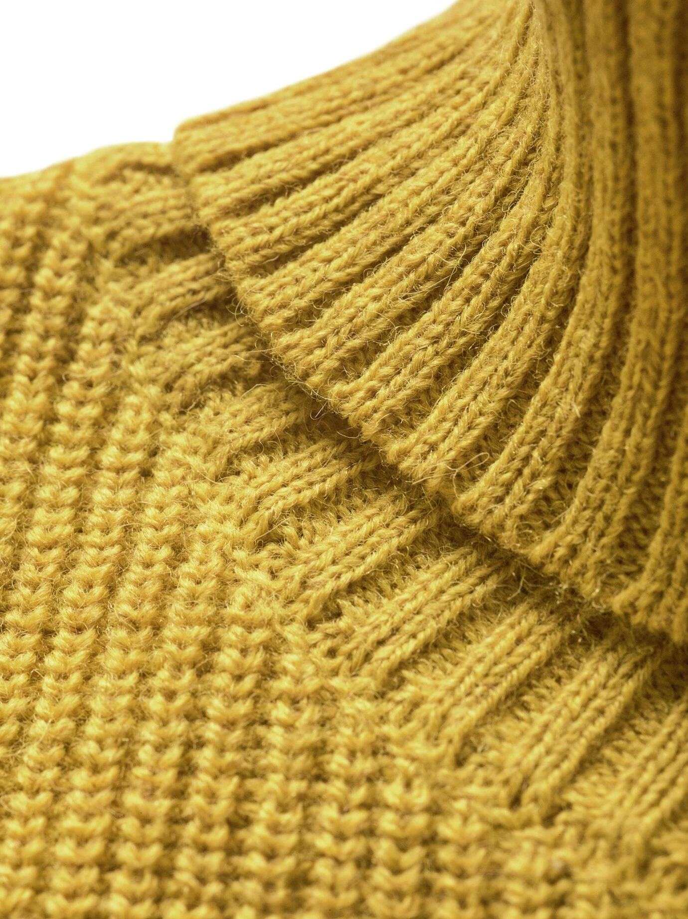 Segelflossendoktor-Rolli 7 Segelflossendoktor-Rolli – Bild 7