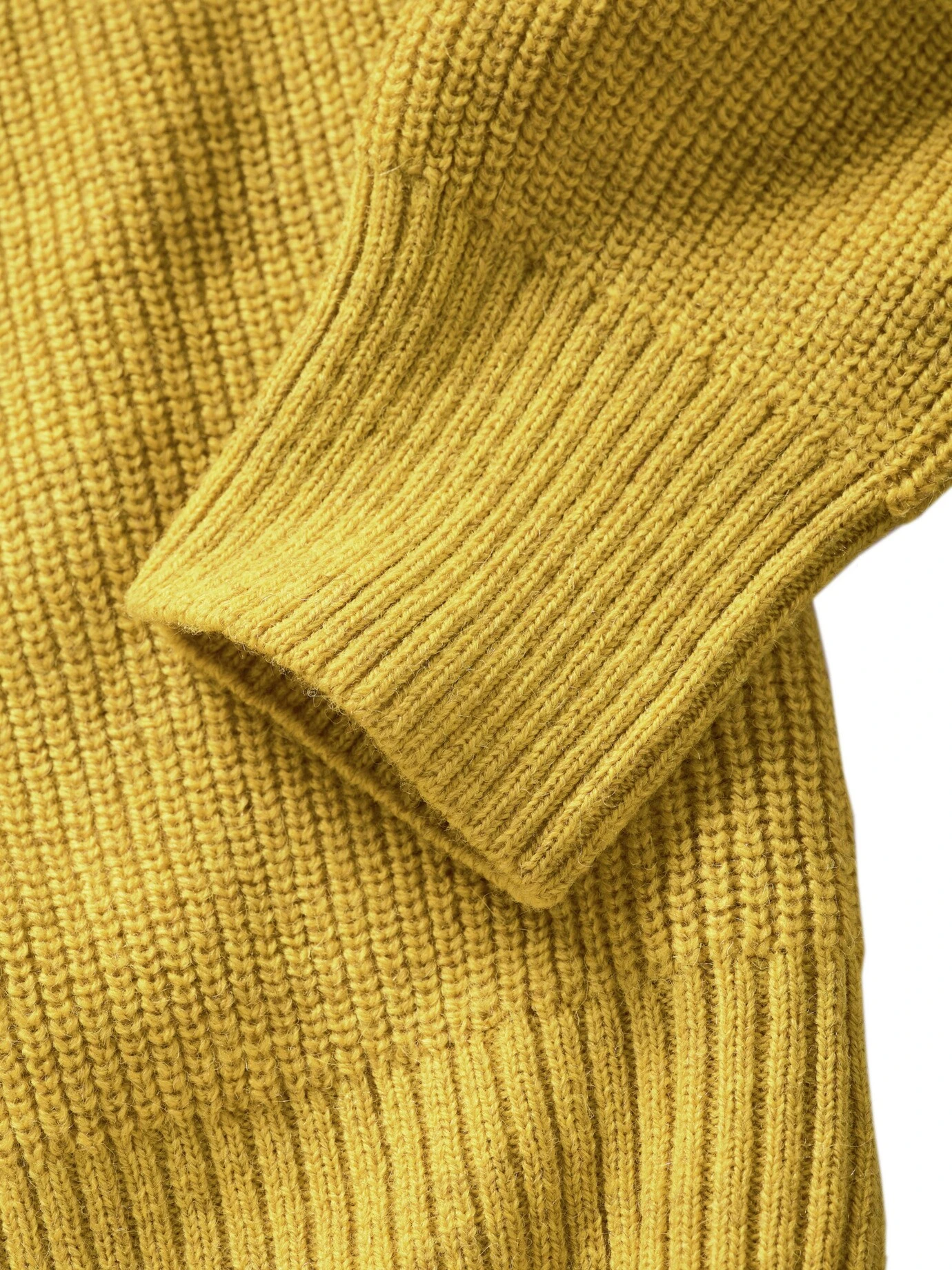 Segelflossendoktor-Rolli 8 Segelflossendoktor-Rolli – Bild 8