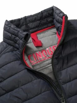 Weste Cifold -Modekleidung Geschäft EC24 6166 DG