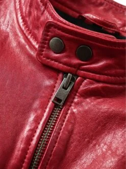 Scuderia-Lederjacke -Modekleidung Geschäft EC24 6303 DG