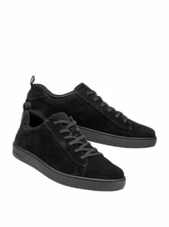 Panther-Sneaker -Modekleidung Geschäft EC25 6627 DI
