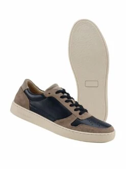 Korbleger-Sneaker -Modekleidung Geschäft EC25 7805 FA 1