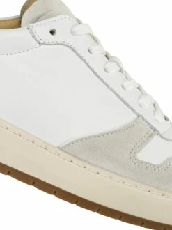 Nebel-Sneaker -Modekleidung Geschäft EC25 7810 DJ 1