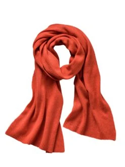 Gefälliger Kaschmirschal -Modekleidung Geschäft EC29 4524 FA