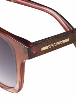 Sonnenbrille Mindset -Modekleidung Geschäft EC29 7961 DG